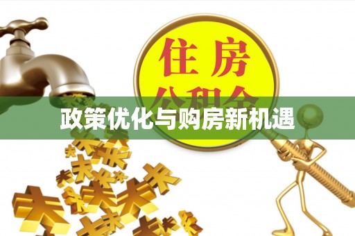 集美政策优化与购房新机遇