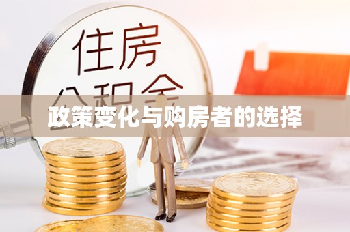 集美政策变化与购房者的选择