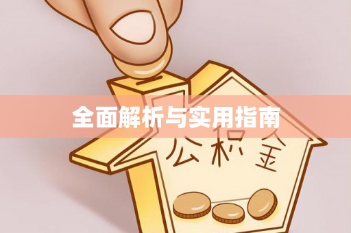 集美全面解析与实用指南
