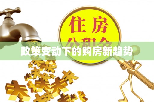 集美政策变动下的购房新趋势
