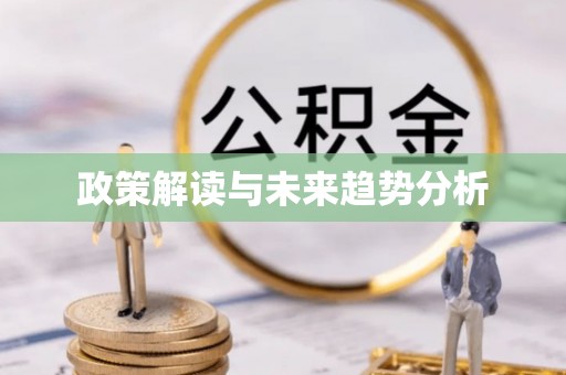 集美政策解读与未来趋势分析