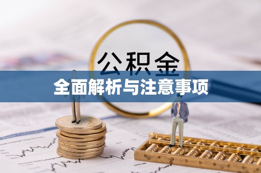 集美全面解析与注意事项